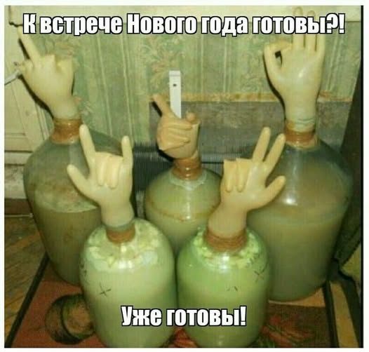 АлкоНовогодние баяны