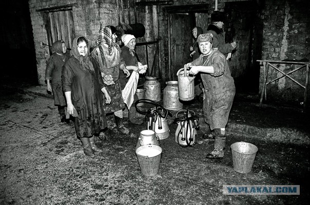 Ностальгия по работящим женщинам