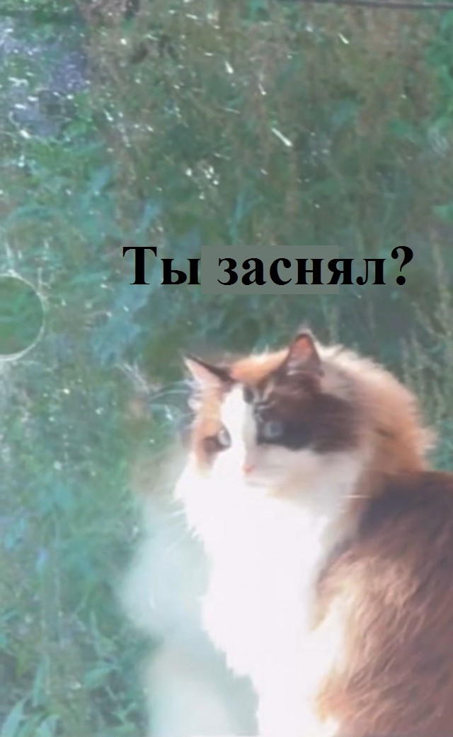 Наташ, там белко самоубился