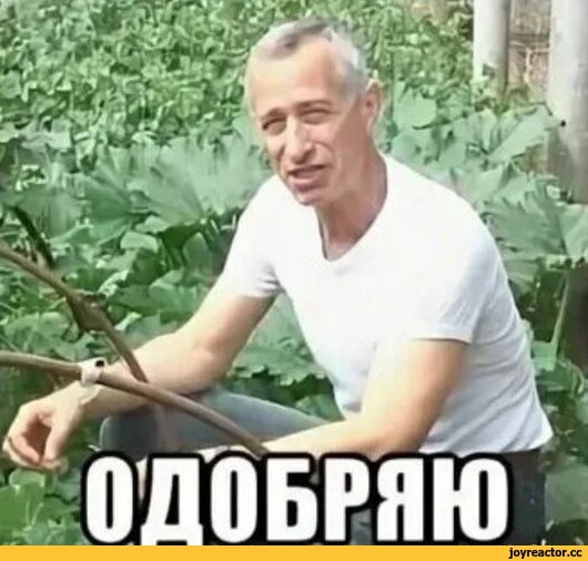 Херовые огурцы