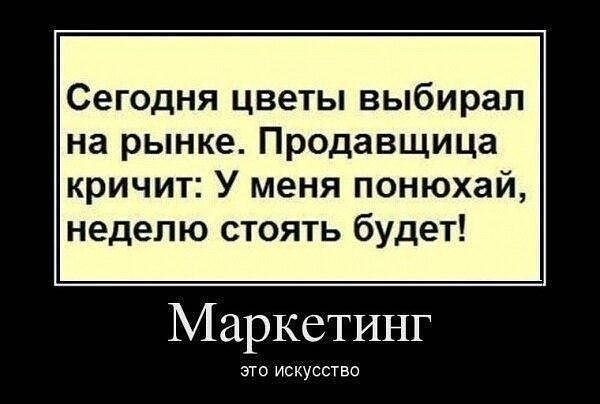 Картинки для деградации 251 (разной степени свежести)