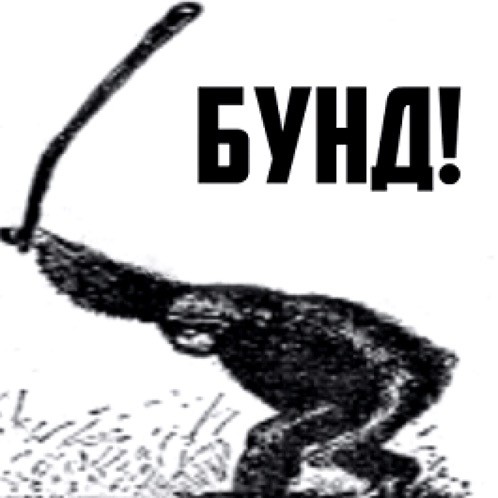 Хочу красивых мужиков в ленту!
