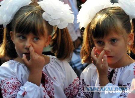 Визуализируем свои ники!