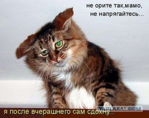 Не про олимпиаду