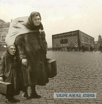 Безопасность Януковича