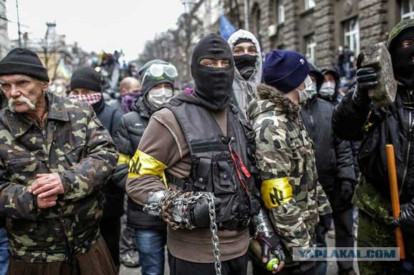 Почти взрослое быдло