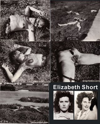 История одного убийства