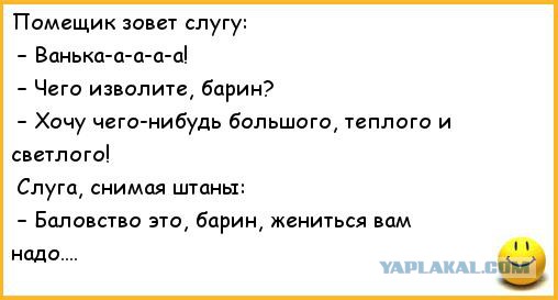 Компьютерная жена - Вика.
