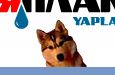 Поймай их), а что будет?