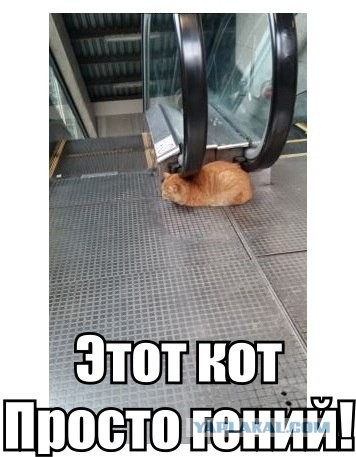 Картинки для настроения