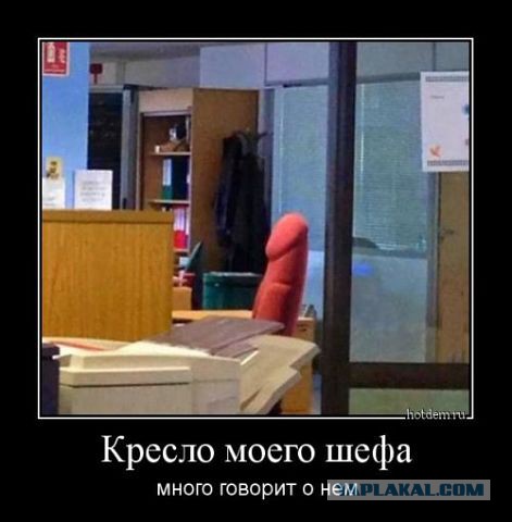 Весёлые картинки