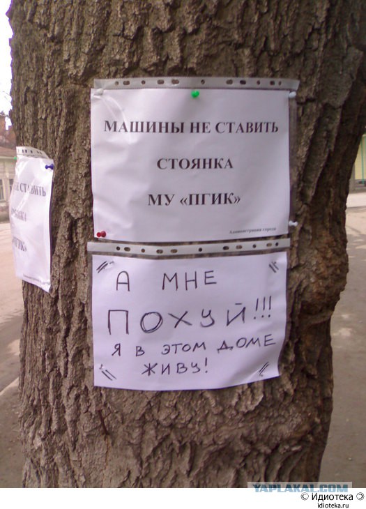 Прикольные картинки.