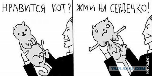 Антинямки
