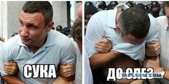 Школьные обеды с разных уголков планеты