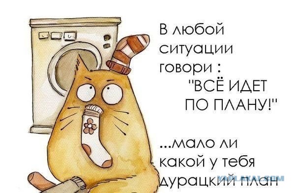 Веселые картинки на пятницу