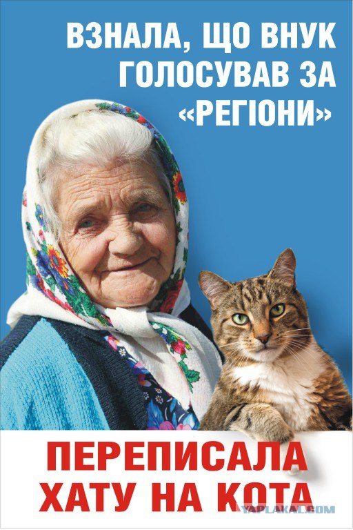 Предвыборный юмор по-украински (коте одобряет)