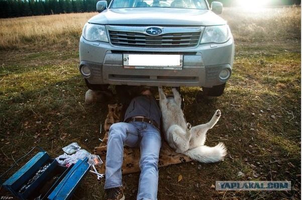 Обычное утро в Ебурге ...