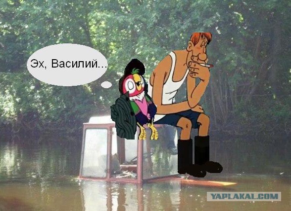 Бывают в жизни огорчения..