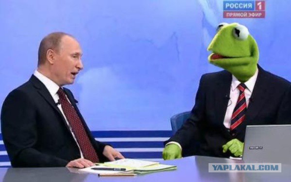 Пожабим Димона