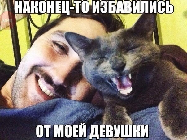 Подборка прикольных фото на пятницу