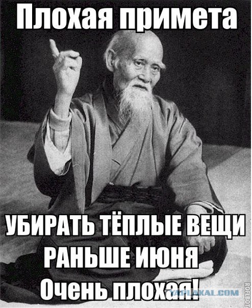 Весёлые картинки