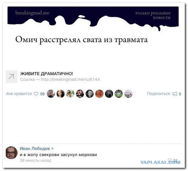 Смешные комментарии из социальных сетей 12.08.2016