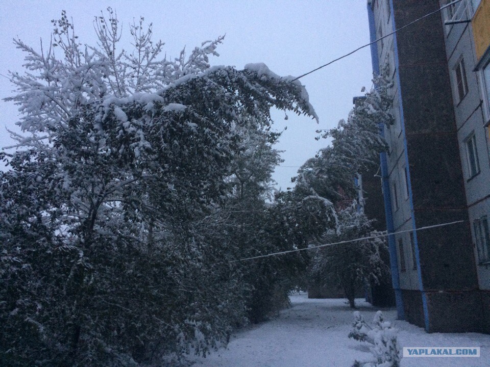 погода в абакане на 10