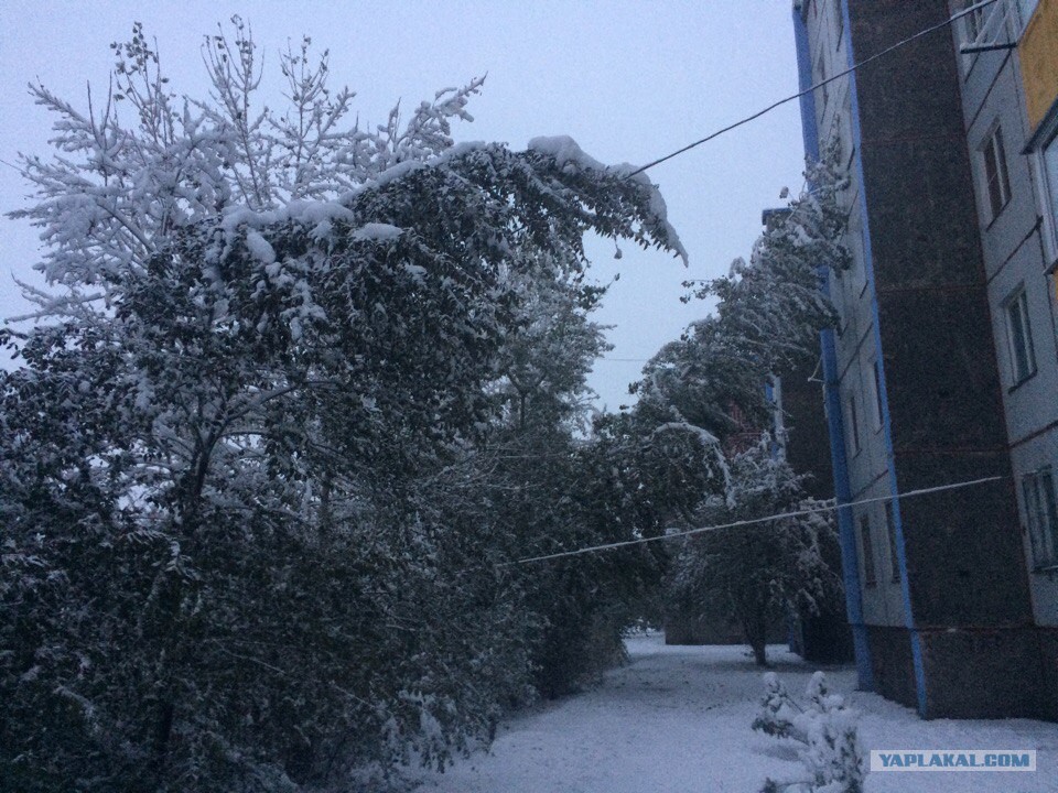 Погода в абакане на сегодня по часам