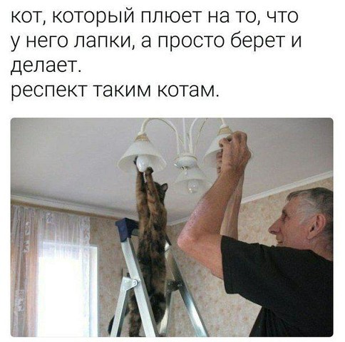 Как мы с Мартином люстру мучили