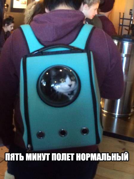 Весёлые картинки