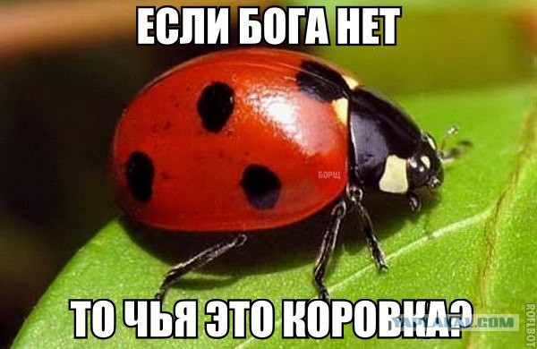 Двигатель бактерии - совершенный механизм, созданный разумом наших создателей