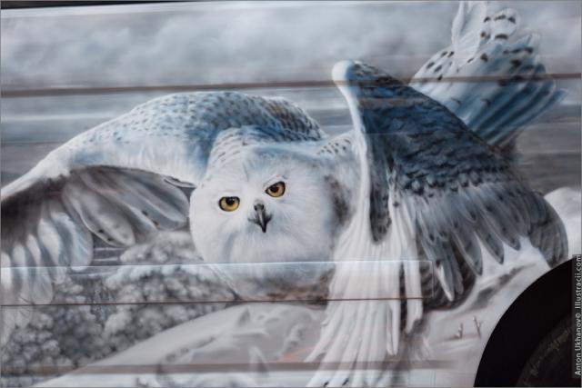 Аэрограф 2010