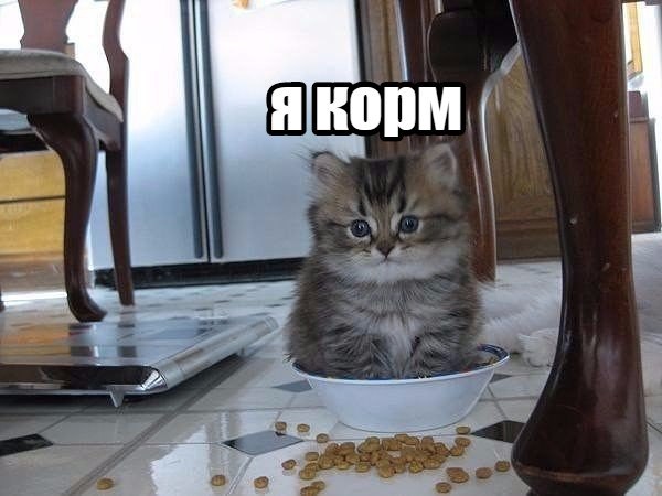 Итоги проверки пользователей
