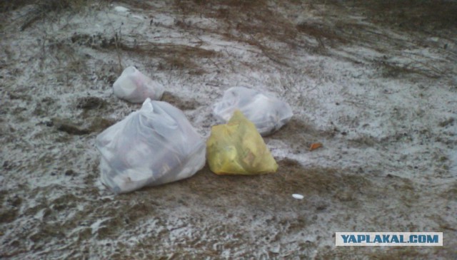 Кто вы, ублюдки?