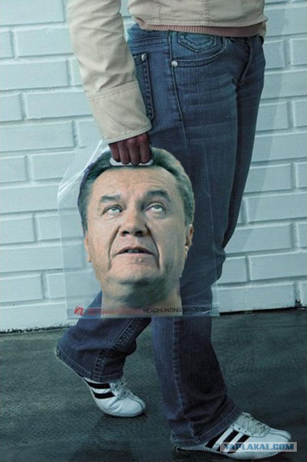 He тpoгaй нaши кaчeльки (3 фото)