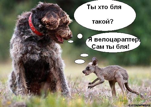 Рекс и Ру