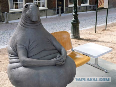Нашли тайник в глухом лесу. Вскрываем загадочный контейнер