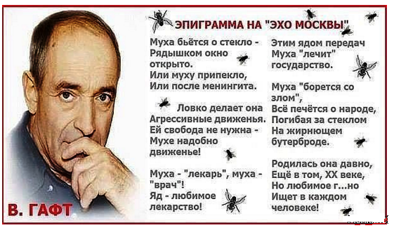 «Расследователи» дела Скрипаля подделали права «Чепиги – Боширова»