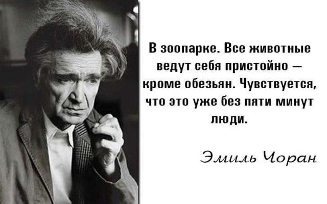 Картинок слегка)