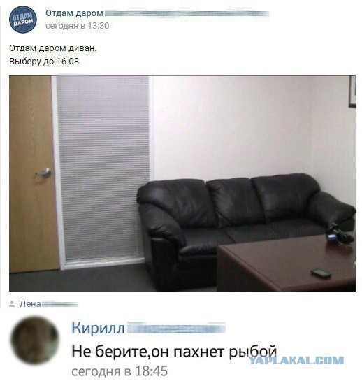 Интернет-объявления, к авторам которых возникает уйма вопросов