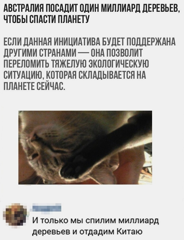 Анекдоты, соц-сети,мемы и картинки с надписями