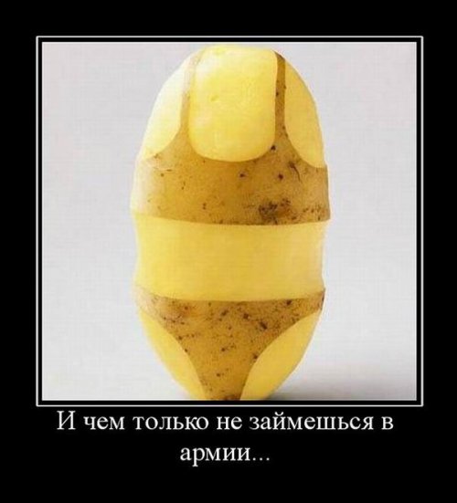 Анекдоты, истории и картинки с надписями