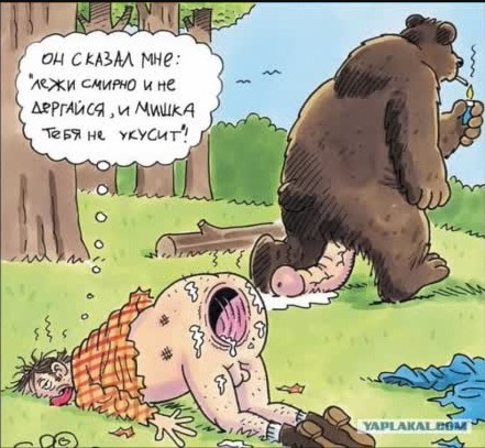 Кабаны, сцуко, апасные!