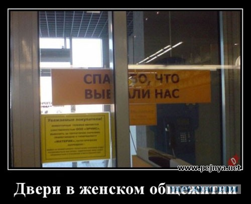 Заседание клуба аморалов объявляется открытым