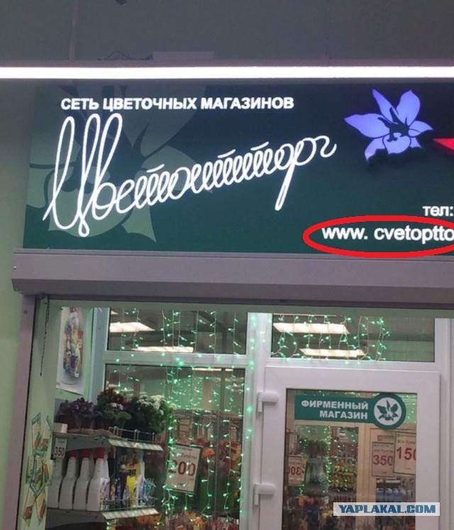 Бредзона