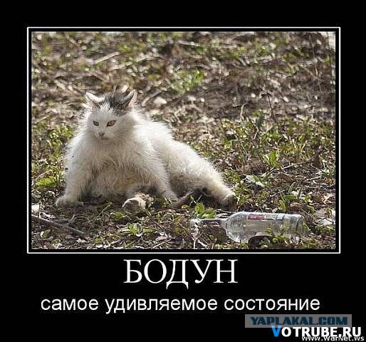 Древние мемы с ВК. Для тех кто забыл