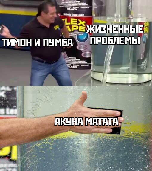 Бредзона 04.02.2020