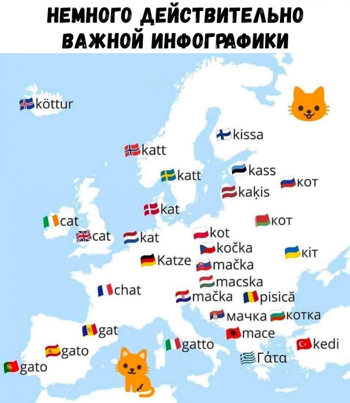 https://s00.yaplakal.com/pics/pics_original/4/8/9/14299984.jpg