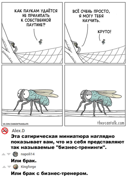Немного картинок для настроения 23.06.20
