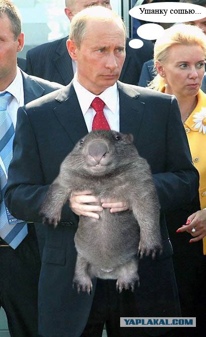 Фотожаба: Путин и зверь